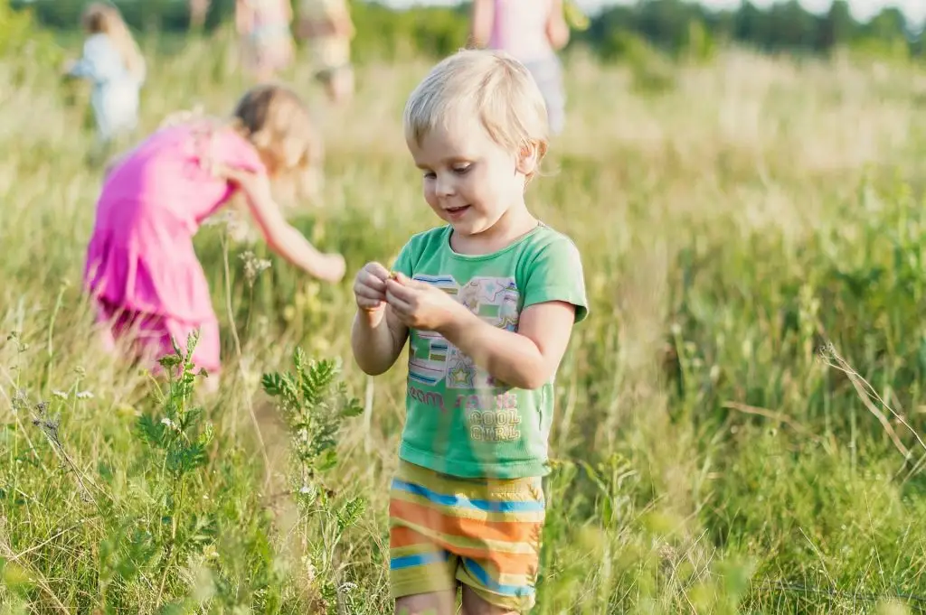 kids playing on the grassland